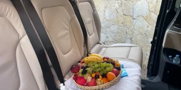 vtc-compagnie-cannes-interieur-van